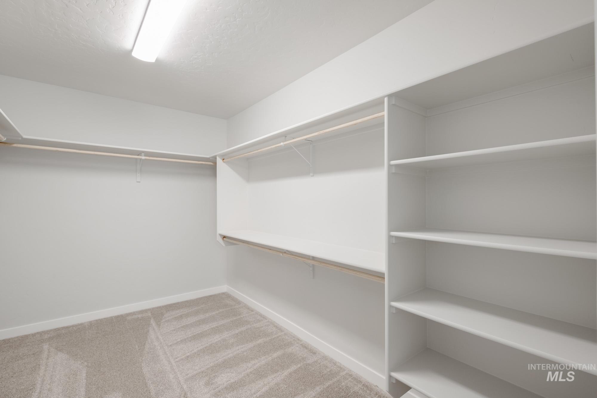 2135 South Border Way Meridian, ID 83642 - Photo 15 of 24 Walk in closet featuring light carpet