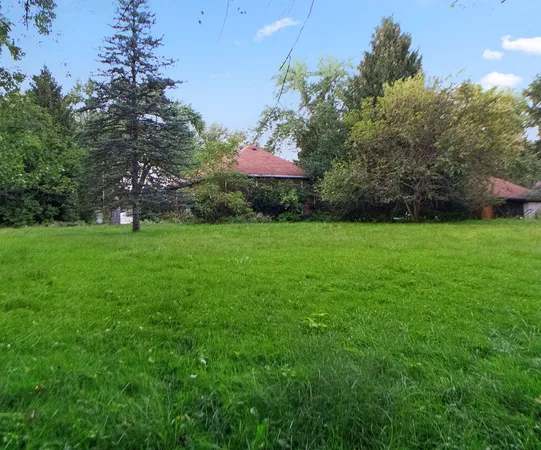 a view of a big yard with plants and large trees