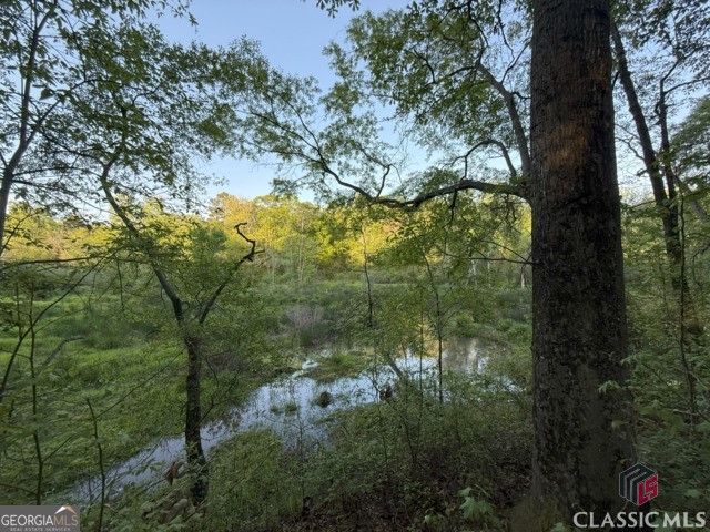 0 Moore Road Elberton, GA 30635 - Photo 48 of 67