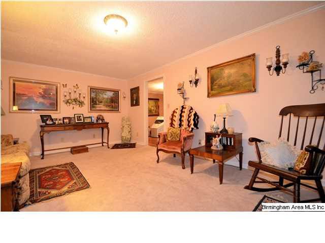 124 Mooney Road Columbiana, AL 35051 - Photo 3 of 31