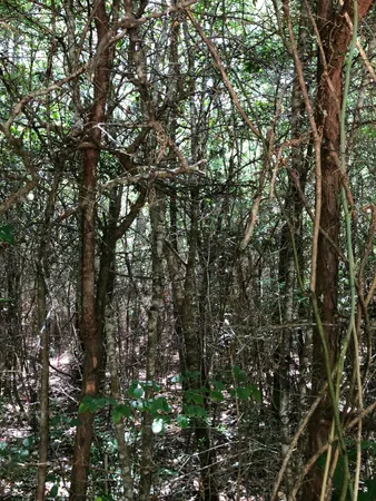 $277,200 | Parcel B&c Yellow River Baptist Church Road, Baker, FL 32531