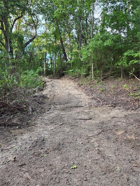3326 New England Road West Mifflin, PA 15122 - Photo 45 of 46 a view of a forest with trees in the background