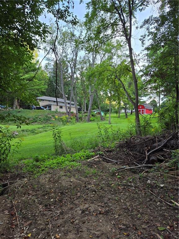3326 New England Road West Mifflin, PA 15122 - Photo 46 of 46 a view of a backyard with large trees