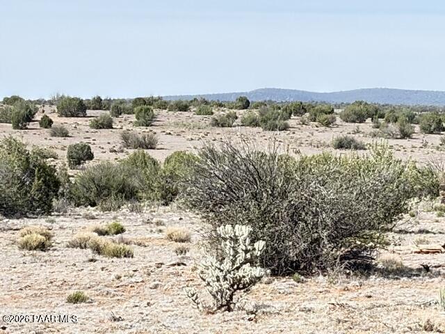 363- Via Dolorosa Road Seligman, AZ 86337 - Photo 5 of 18 IMG_1061