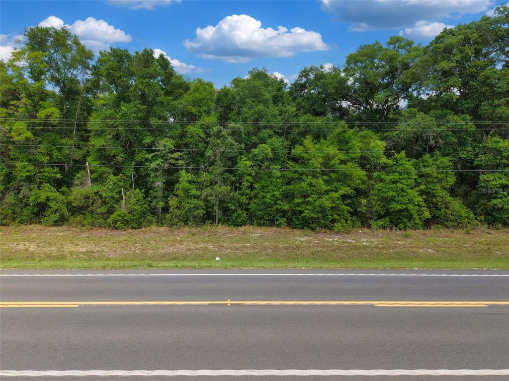 3 North State Road Branford, FL 32008 - Photo 9 of 13 a view of a yard in a big room