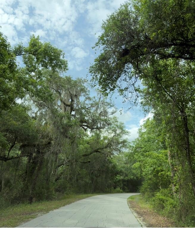 a view of a yard with a tree