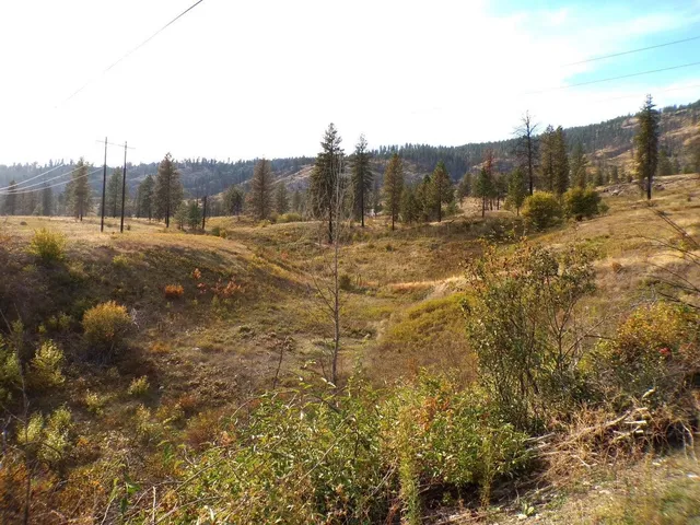 $649,000 | 131-xx East 131-xx E 20th Highway, Kettle Falls, WA 99141