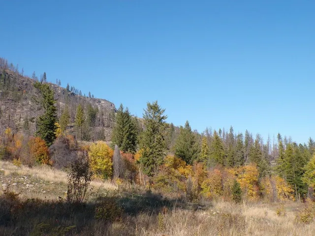 $649,000 | 131-xx East 131-xx E 20th Highway, Kettle Falls, WA 99141