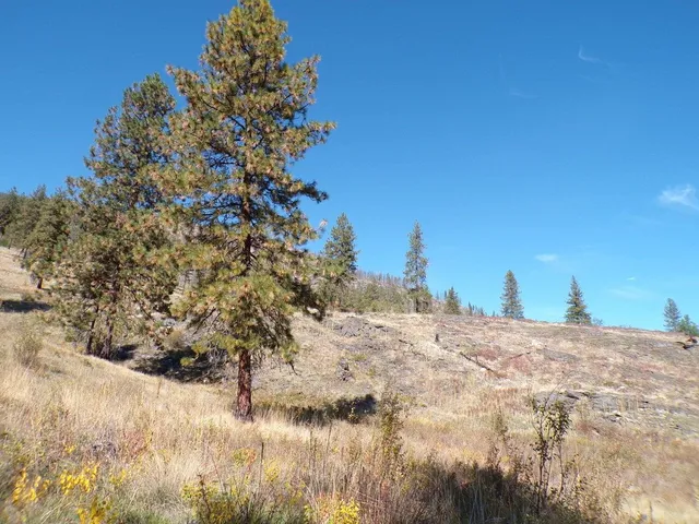 $649,000 | 131-xx East 131-xx E 20th Highway, Kettle Falls, WA 99141