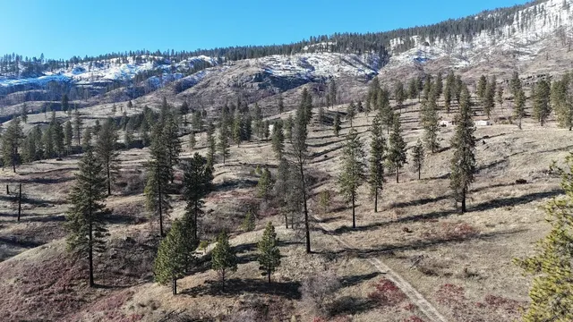 $649,000 | 131-xx East 131-xx E 20th Highway, Kettle Falls, WA 99141