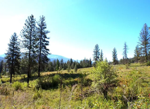 $649,000 | 131-xx East 131-xx E 20th Highway, Kettle Falls, WA 99141