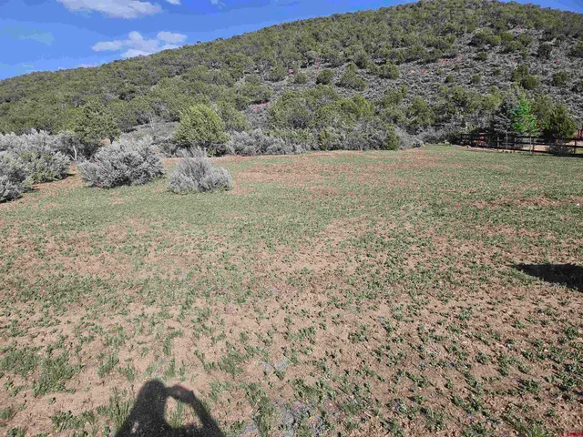 $60,000 | 825 Southeast Pine Street, Cedaredge, CO 81413