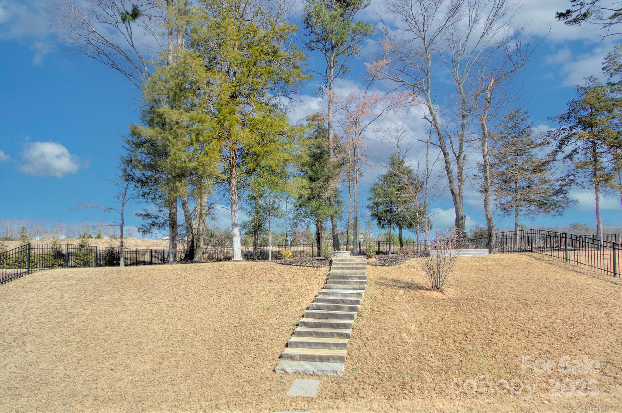 1176 Weir Court Fort Mill, SC 29708 - Photo 27 of 35 a street view covered with snow
