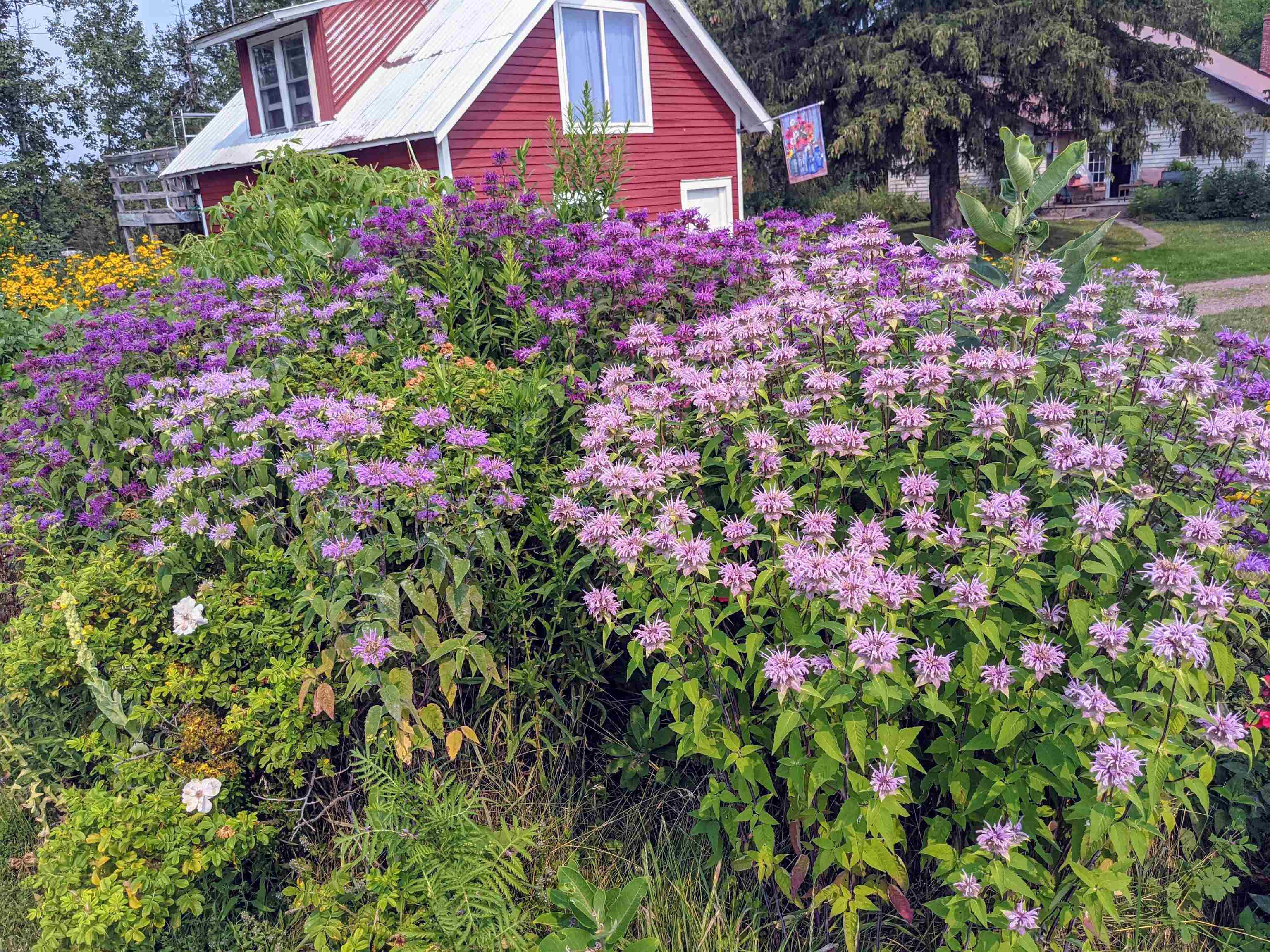 60445 Summit Road West Ashland, WI 54806 - Photo 70 of 74