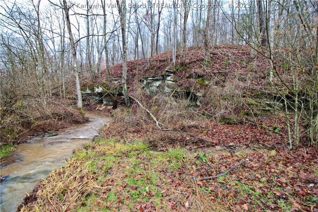376 Forked Run Ripley, WV 25271 - Photo 5 of 13 Gallery Image 5