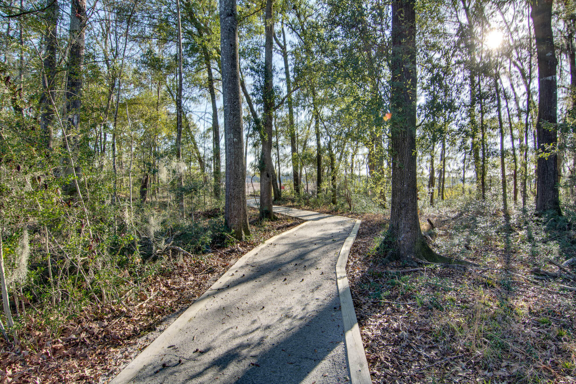 5437 Rising Tide North Charleston, SC 29420 - Photo 41 of 43 Along the Ashley River