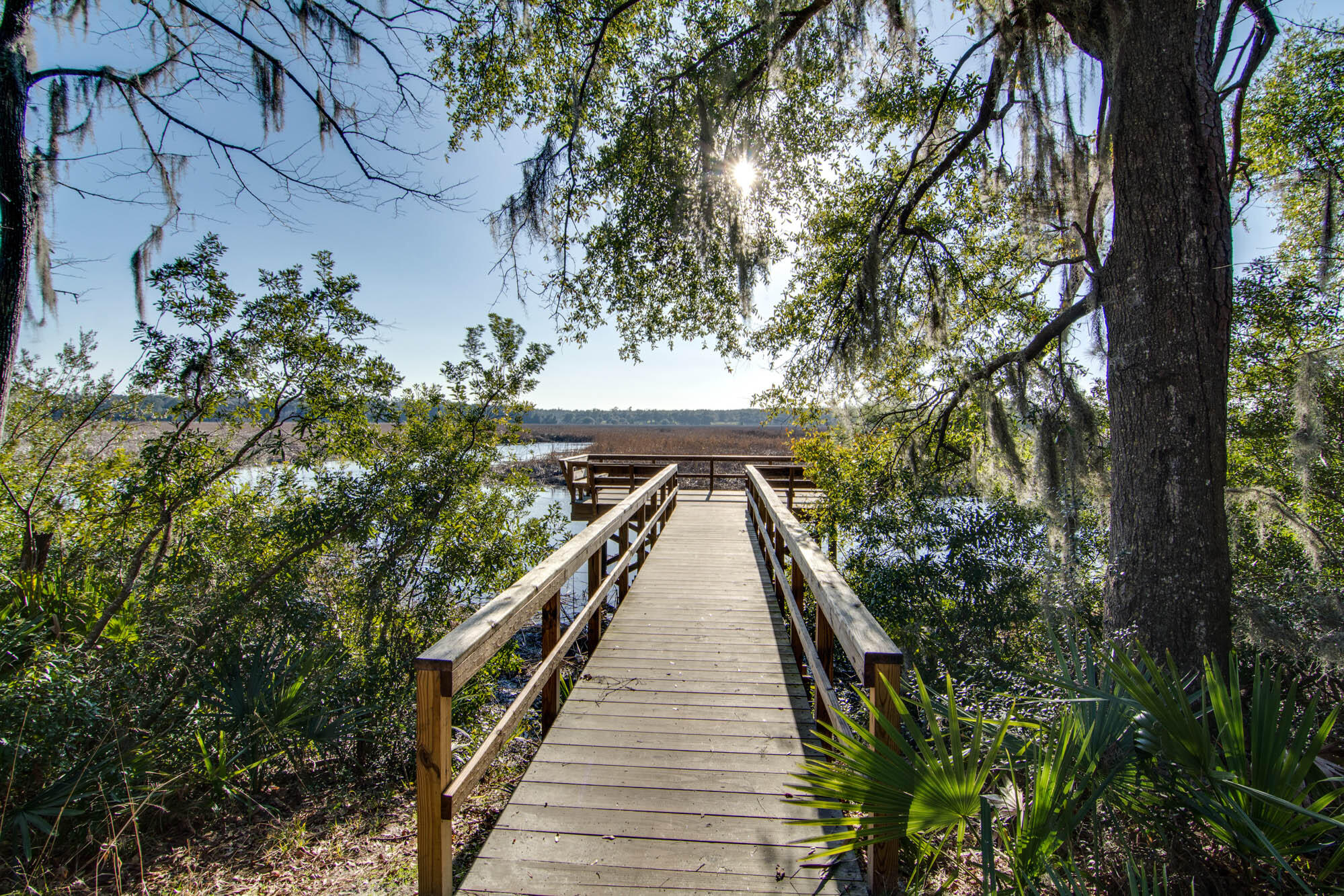 5437 Rising Tide North Charleston, SC 29420 - Photo 4 of 43 Community dock along the Ashley River