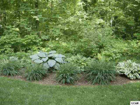 5726 Hunt Road Adrian, MI 49221 - Photo 25 of 25 20358663-24.JPG