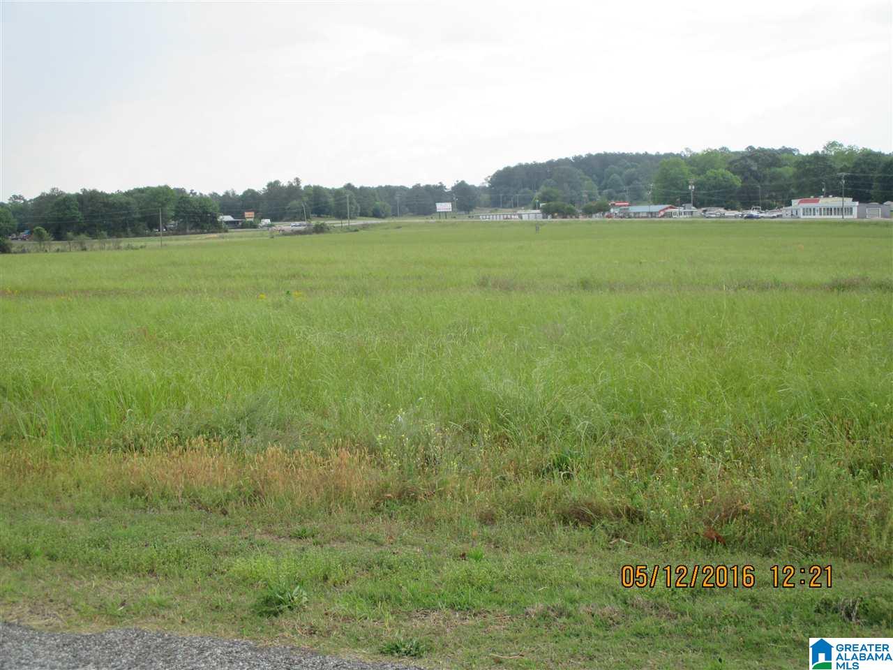 0 Watson Road Cropwell, AL 35054 - Photo 4 of 5