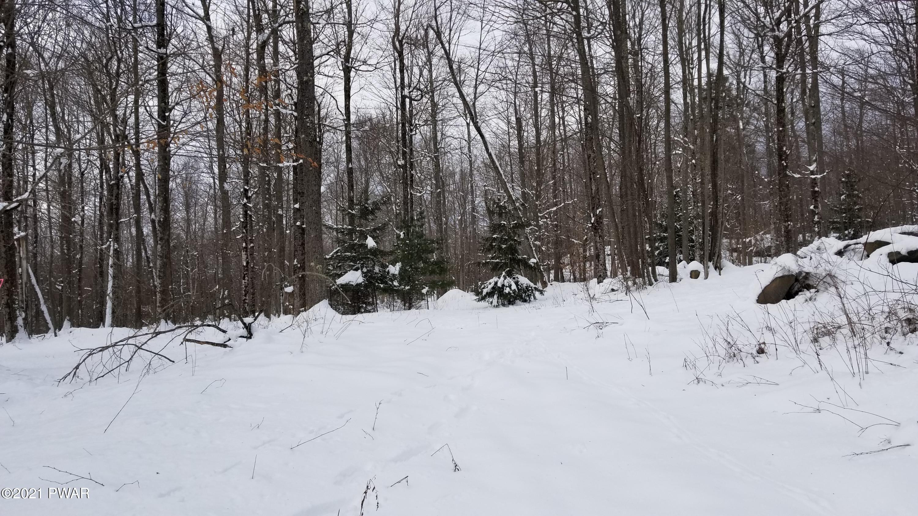 Lot 63 Old Woods Road Equinunk, PA 18417 - Photo 7 of 63