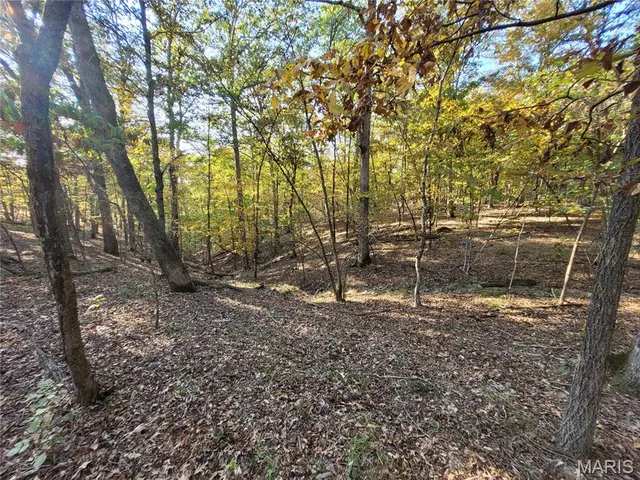 $165,000 | 161 Steeple Point Drive, Augusta, MO 63332