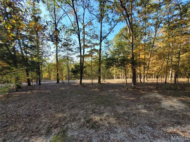 $165,000 | 161 Steeple Point Drive, Augusta, MO 63332