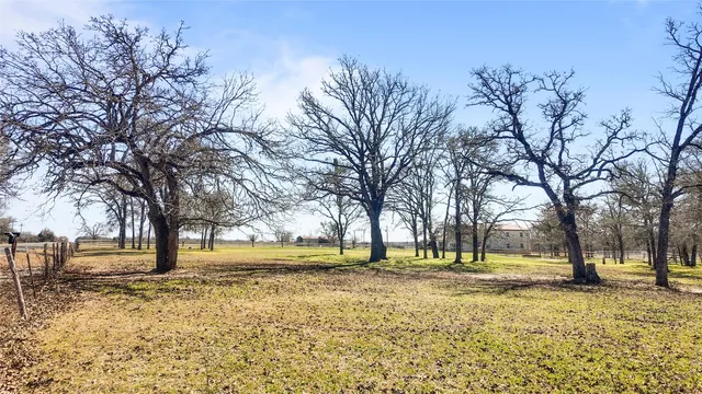 a view of yard with trees