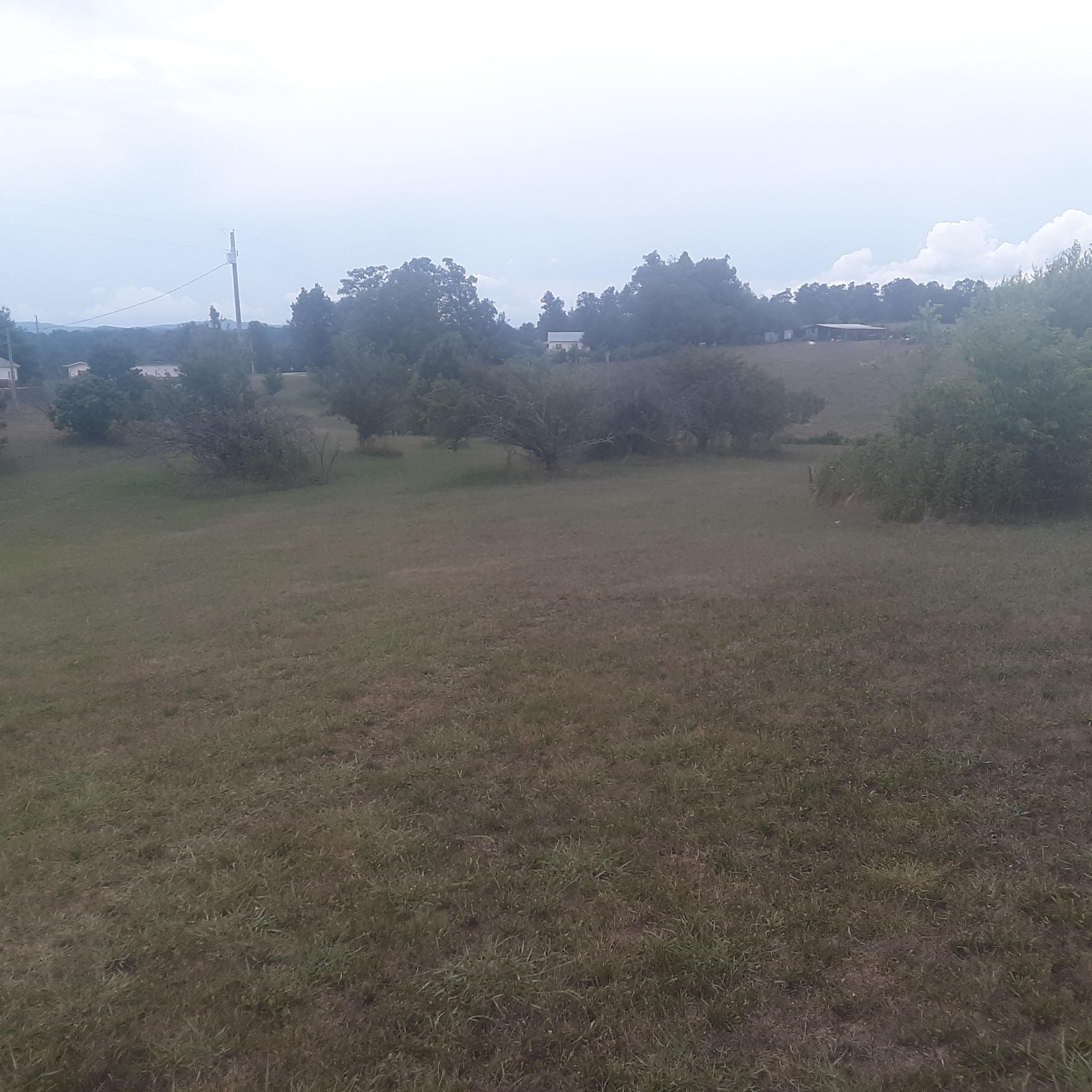 841 Howell River Road Rutledge, TN 37861 - Photo 16 of 33 20210717_170550