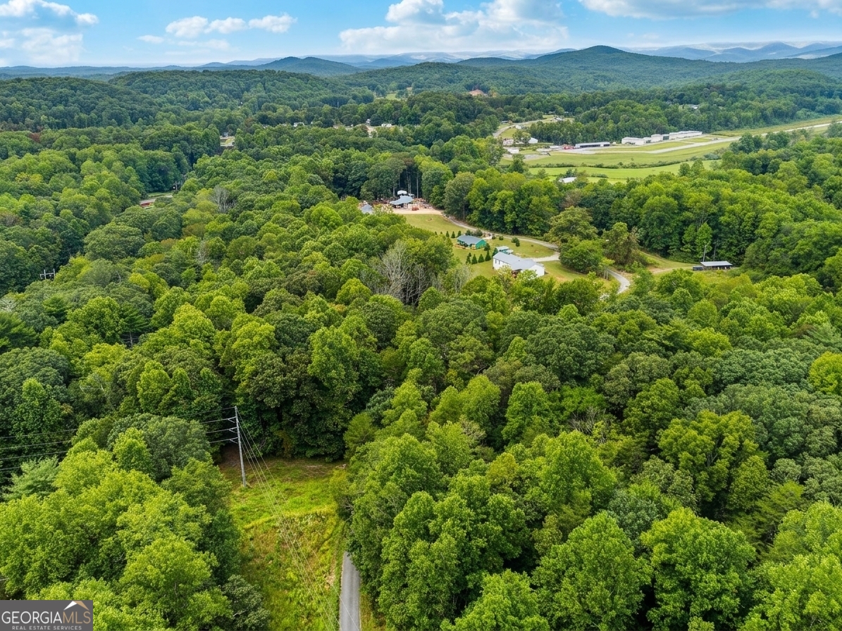 380 Guy Wimpy Road, Unit LOT 2 Dahlonega, GA 30533 - Photo 13 of 23