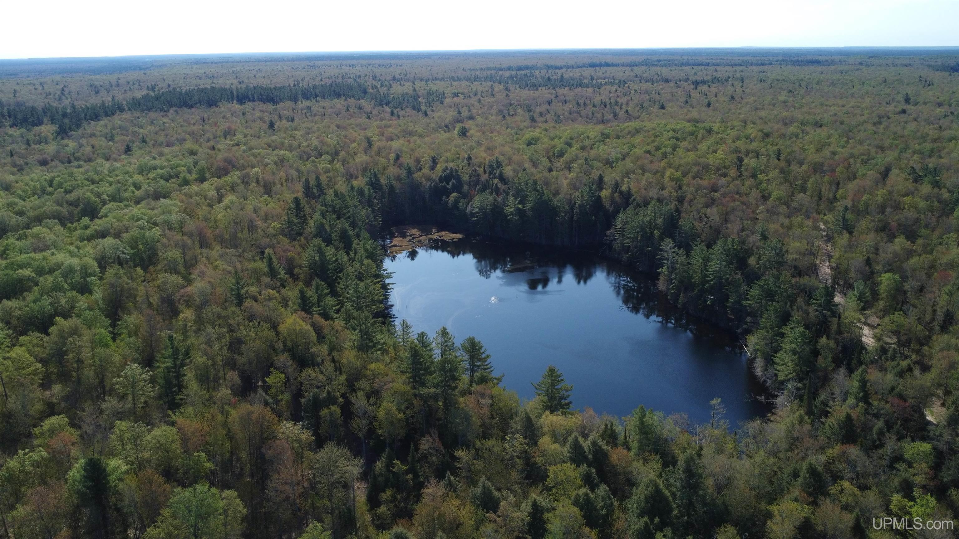On Wolf Lake Road McMillan, MI 49853 - Photo 2 of 37