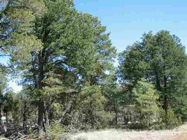 3411 Buckskin Road, Unit PAR 3 Overgaard, AZ 85933 - Photo 1 of 1 Primary Photo