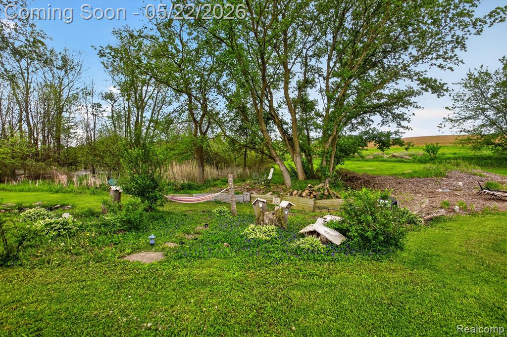 7950 Mayville Road Marlette, MI 48453 - Photo 35 of 50
