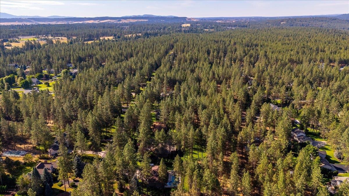 17917 North Saddle Hill Road Colbert, WA 99005 - Photo 31 of 47