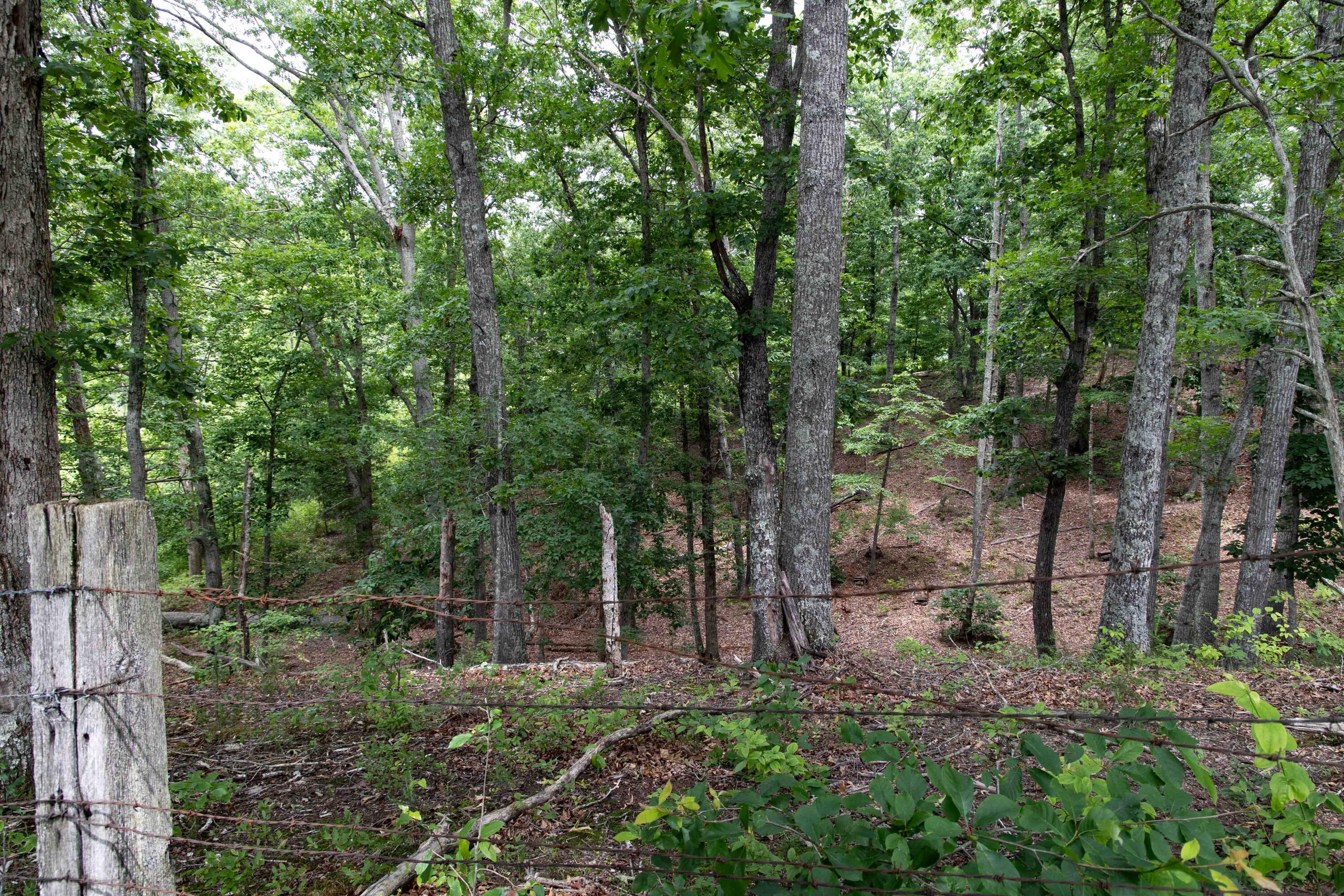 799 Hargett Road Irvine, KY 40336 - Photo 60 of 71 779Hargetroad-66
