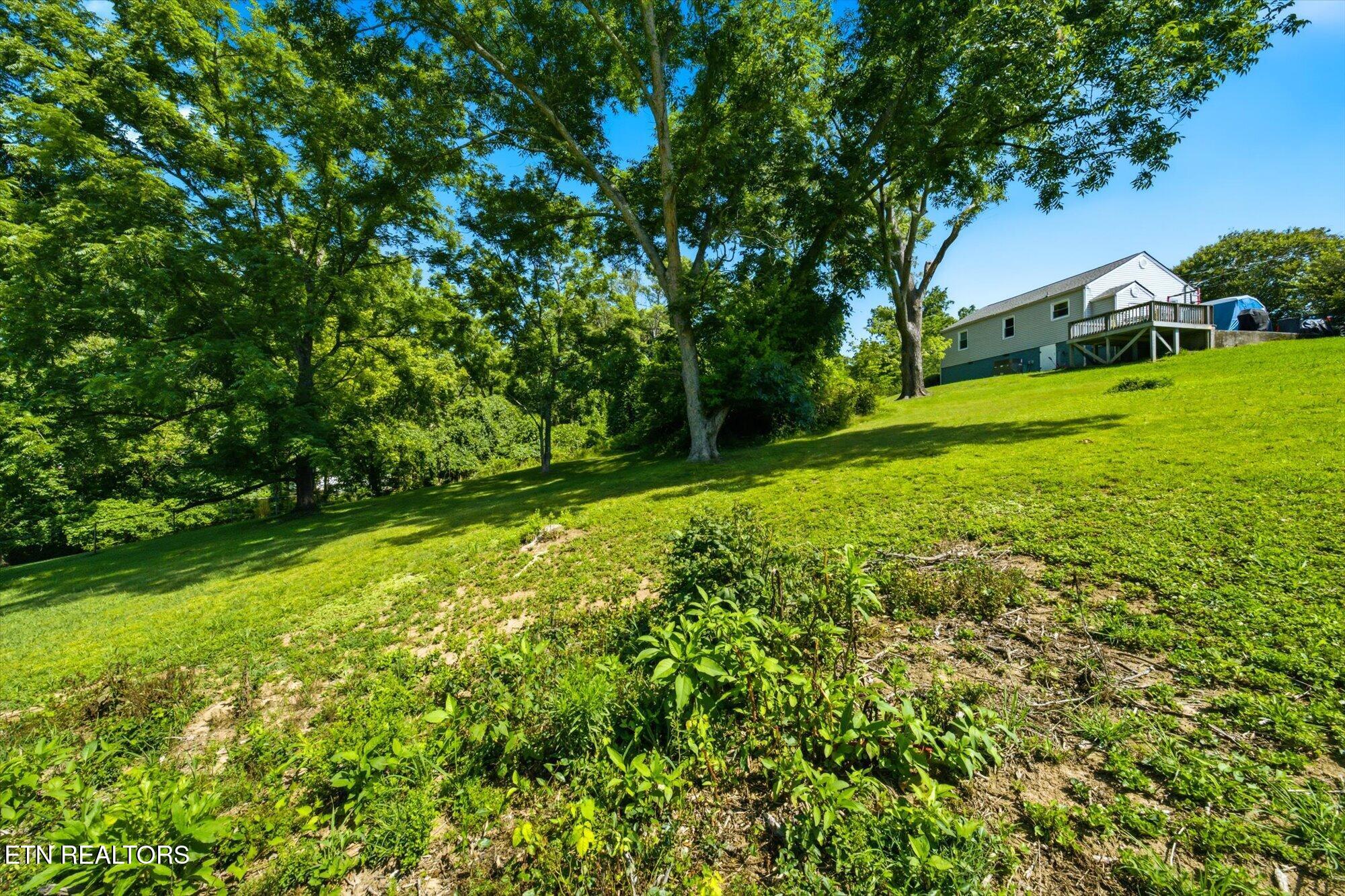 104 Scott Lane Oak Ridge, TN 37830 - Photo 18 of 20 Back yard