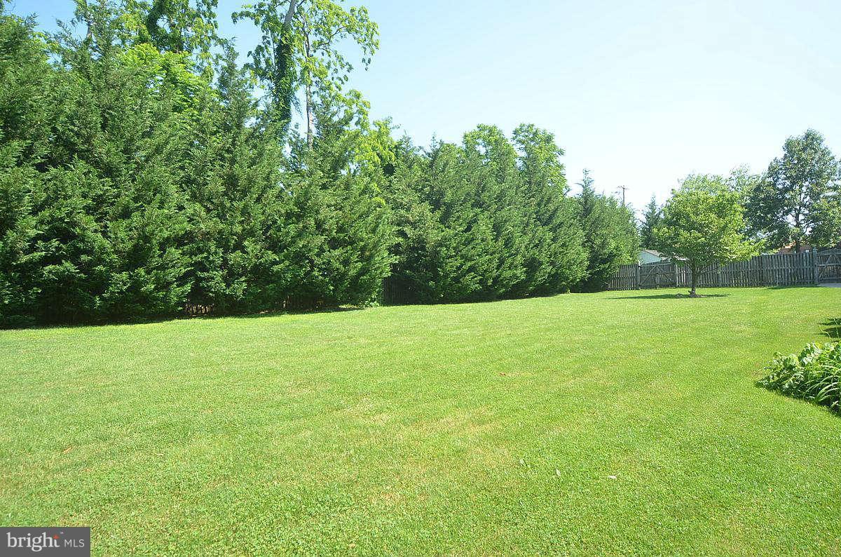 24719 Ridge Road Damascus, MD 20872 - Photo 8 of 30 Exterior (General)