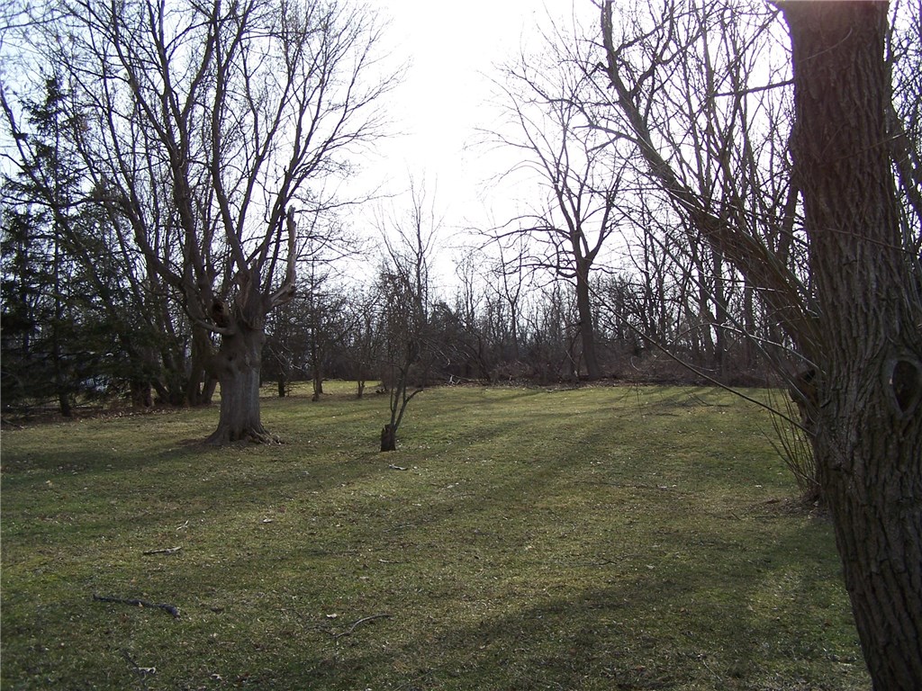 239 East Main Street Milo, NY 14527 - Photo 3 of 9