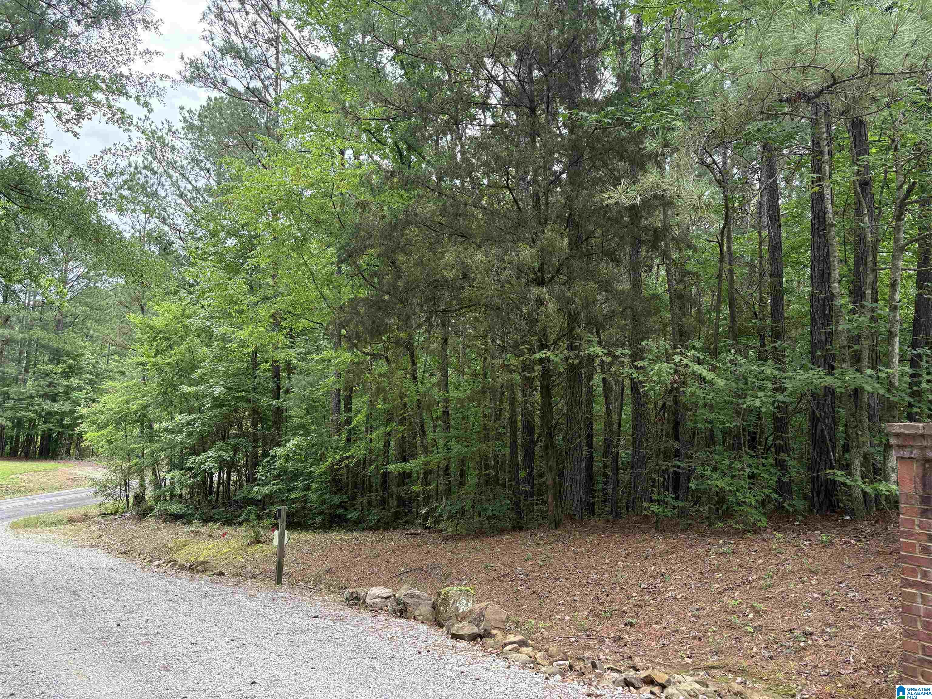 1322 Mitchellville Road Ohatchee, AL 36271 - Photo 48 of 51