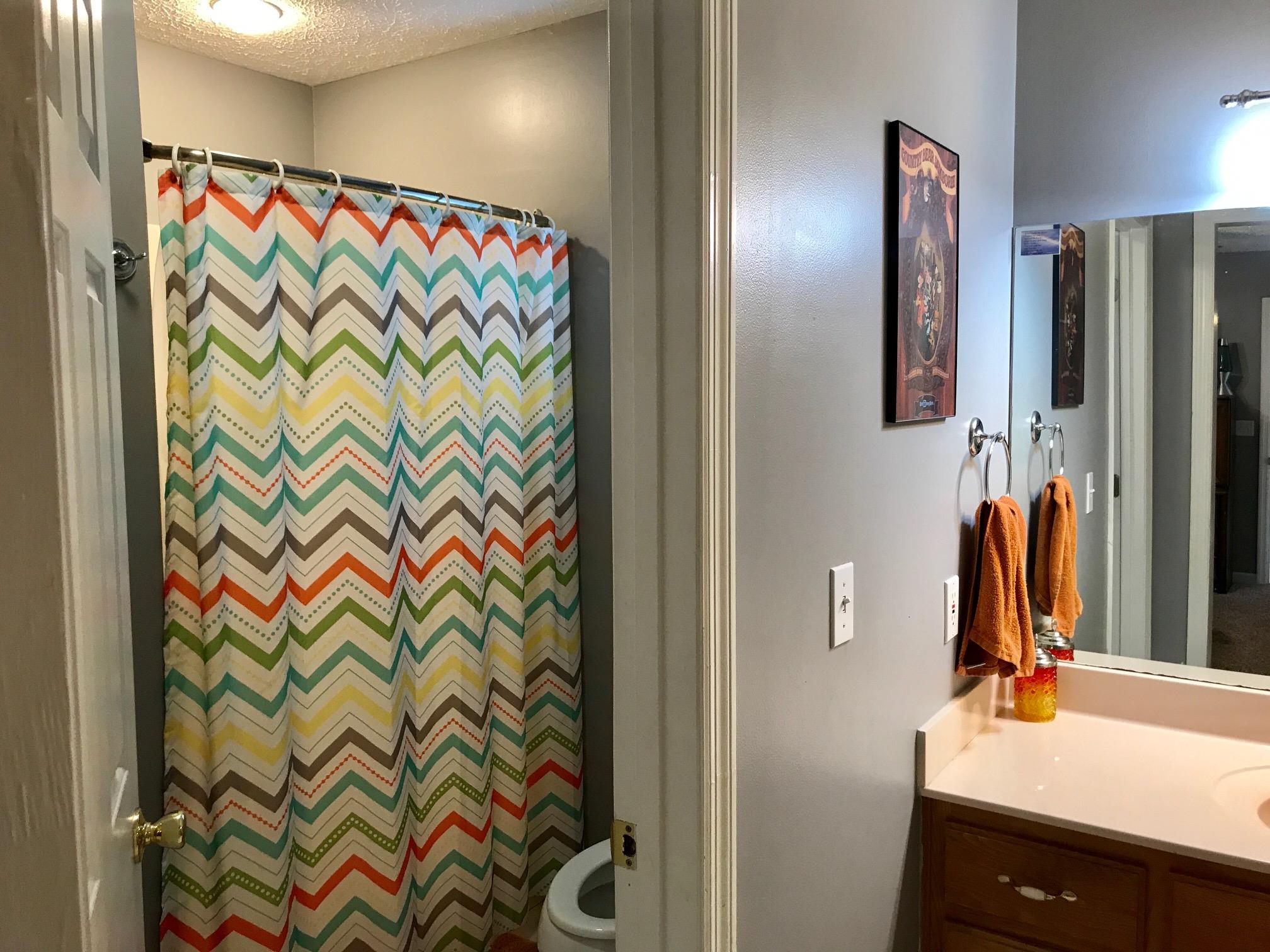 3733 Armstrong Road Springfield, TN 37172 - Photo 8 of 13 a bathroom with a sink and a mirror