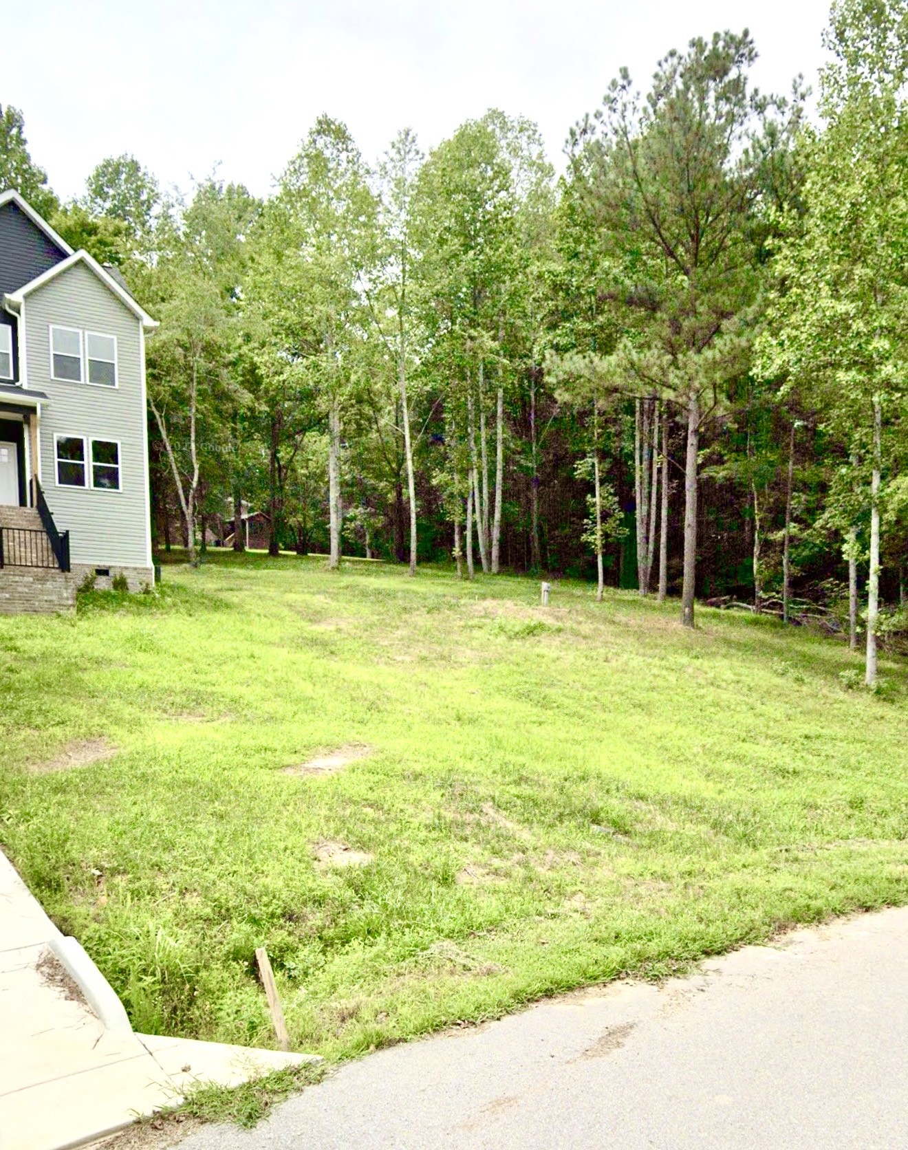 2005 Beaver Ridge Road White Bluff, TN 37187 - Photo 34 of 39 a backyard of a house with large trees and plants