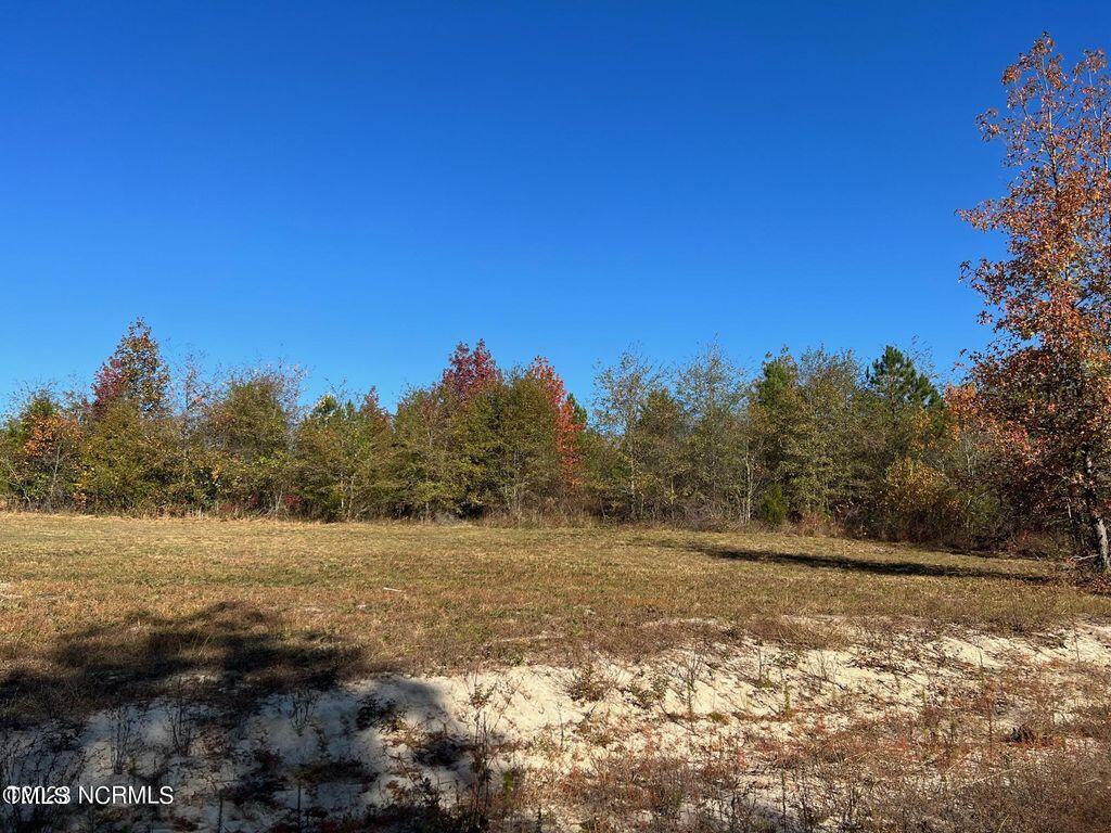 145 Hickory Pointer Way Cameron, NC 28326 - Photo 2 of 6 145 hickory pic 1