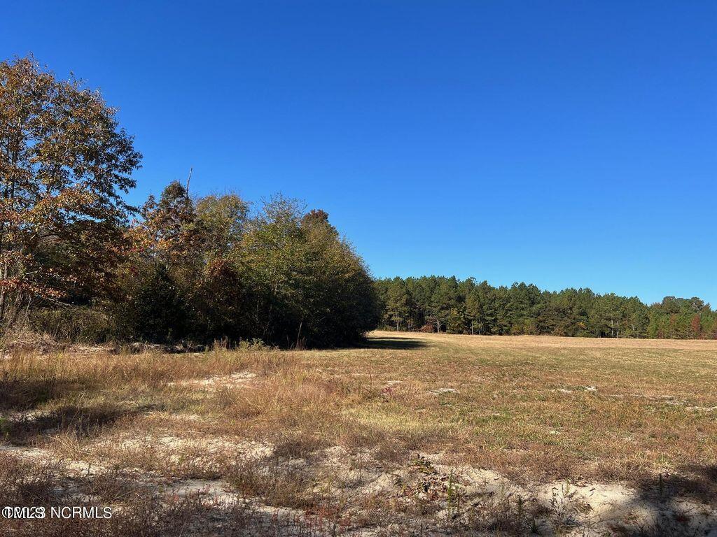 145 Hickory Pointer Way Cameron, NC 28326 - Photo 3 of 6 145 hickory pic 4