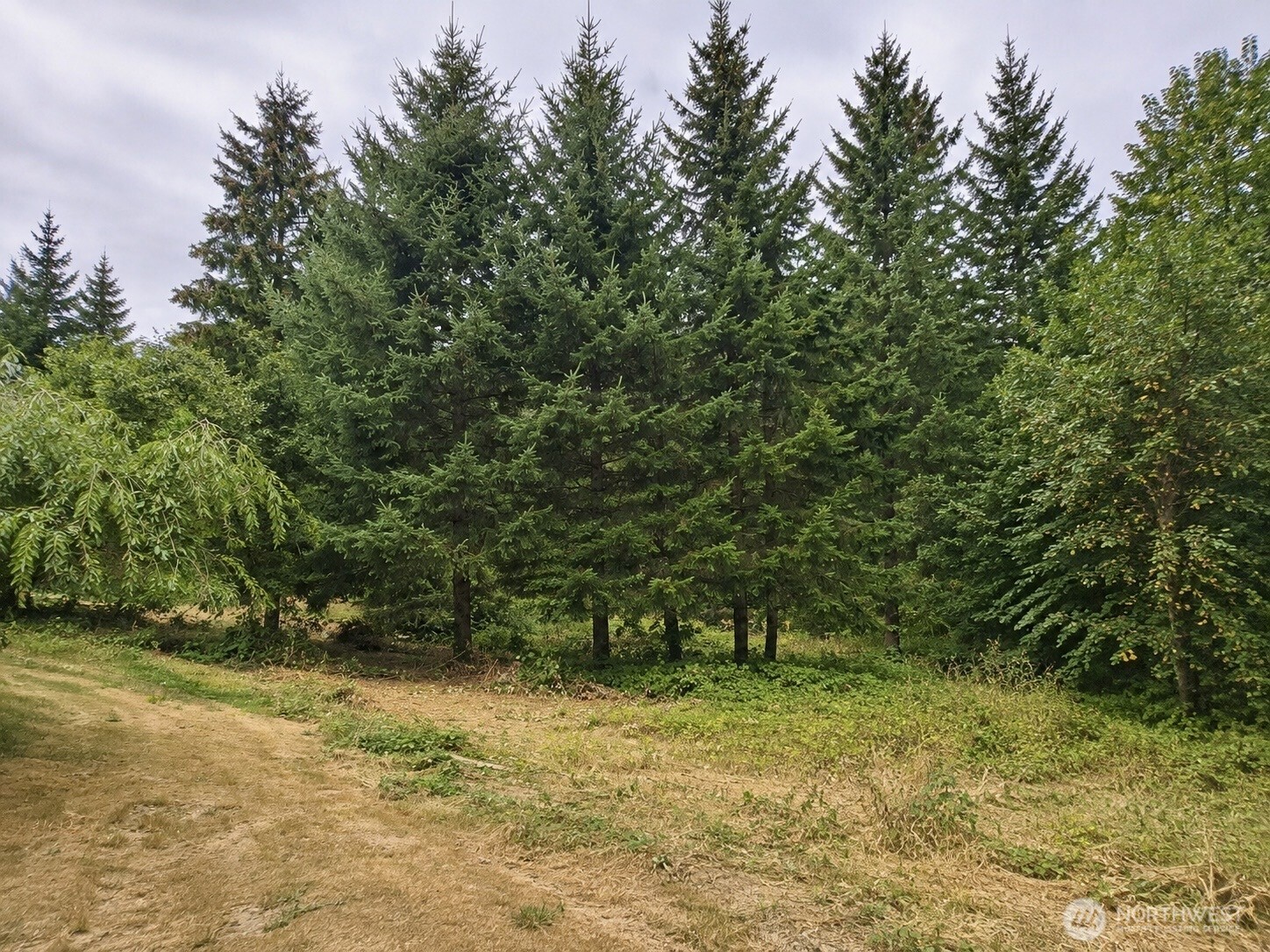 5240 Werner Road Bremerton, WA 98312 - Photo 5 of 22 Gallery Image 5