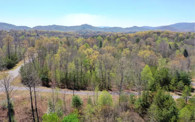$10,000 | Lot16 Grizzly Circle, Murphy, NC 28906