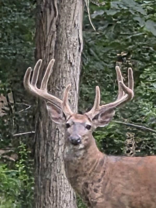 N8720 County Cx Portage, WI 53901 - Photo 1 of 41