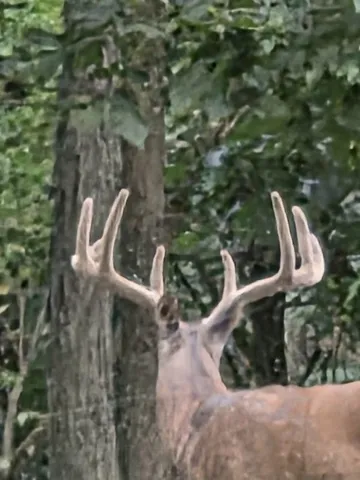 $734,900 | N8720 County Cx, Portage, WI 53901