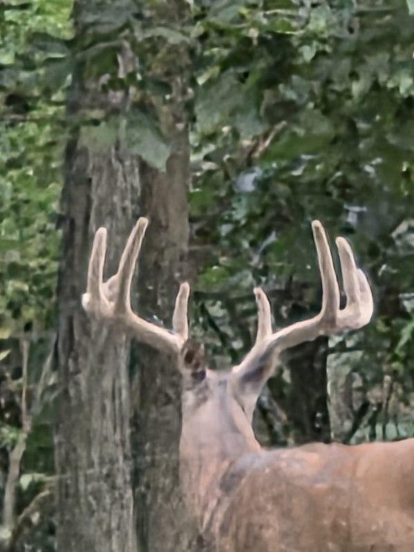 N8720 County Cx Portage, WI 53901 - Photo 2 of 41