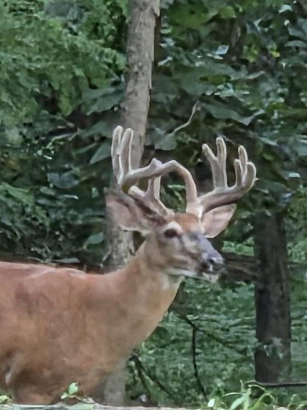 N8720 County Cx Portage, WI 53901 - Photo 3 of 41