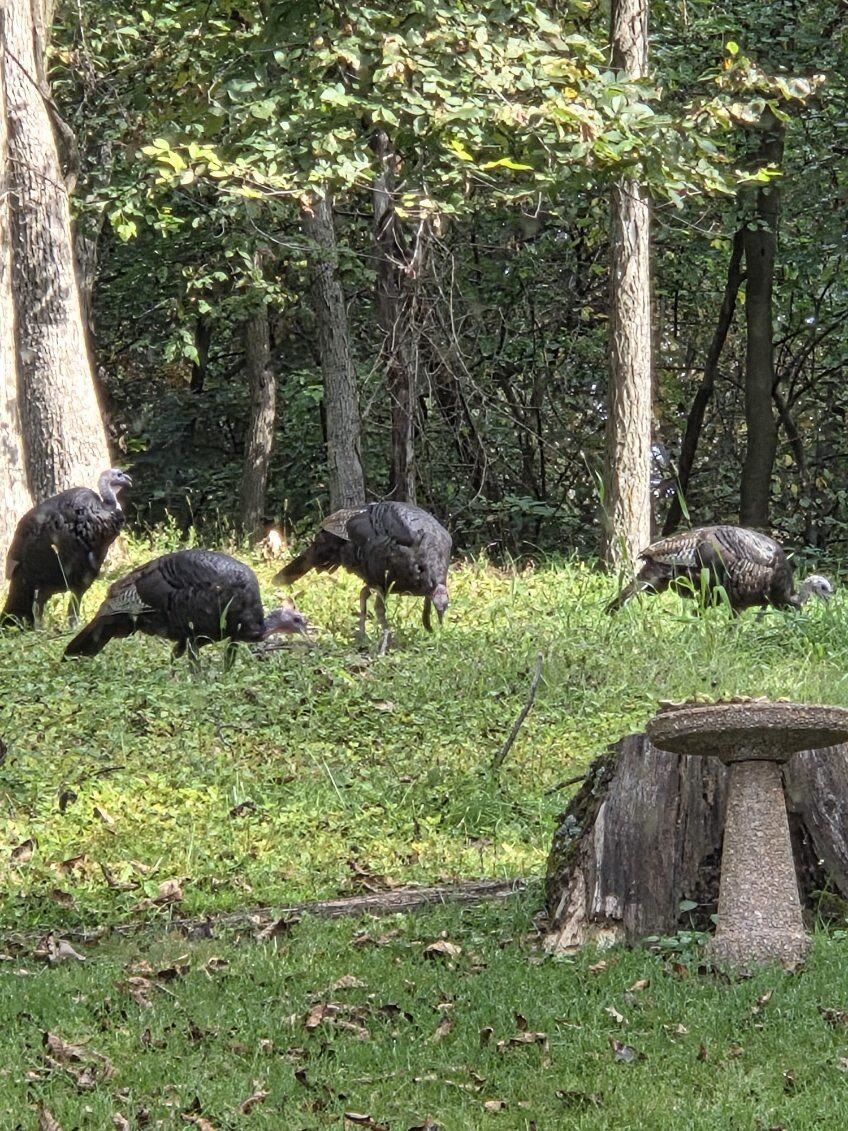 N8720 County Cx Portage, WI 53901 - Photo 36 of 41