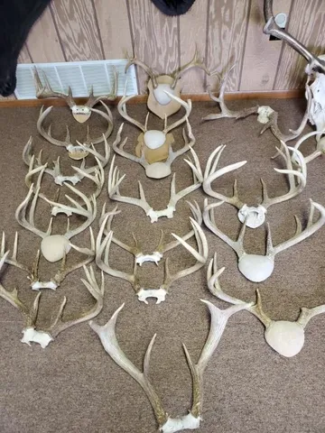 $734,900 | N8720 County Cx, Portage, WI 53901